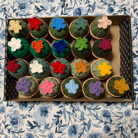 Knitted Succulents